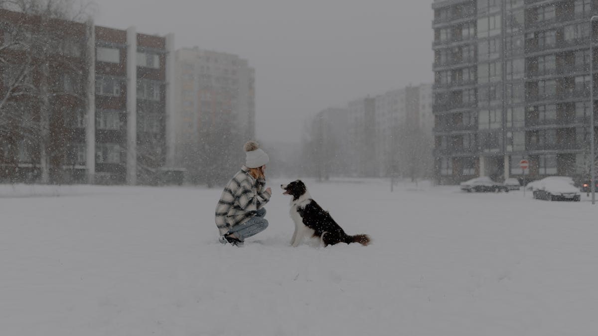 Kā uzturēt veselīgu dzīvesveidu ikdienā